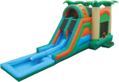 Bounce N' Double Dip with Pool 52915 Bounce N' Double Dip with Pool 52915