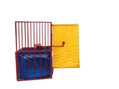 Dunk Tank Dunk Tank